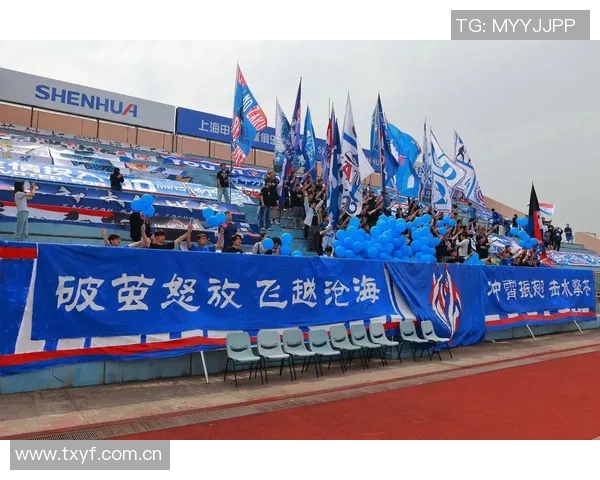 申花上体女足在2025女甲联赛中表现出色荣获第四名积累46分