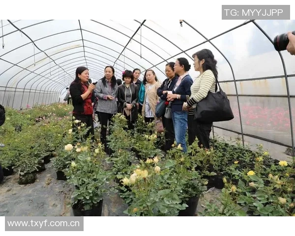 今天对决平分秋色布伦森与马克西各展风采贡献精彩表现 今天对决平分秋色布伦森与马克西各展风采贡献精彩表现