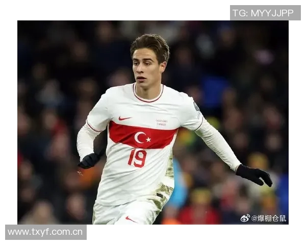 土耳其国家队新名单公布居莱尔恰尔汗奥卢伊尔迪兹入选乌尊未能入选