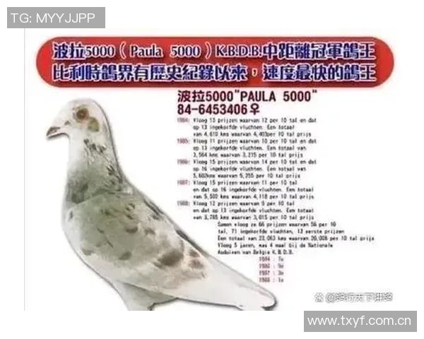 十年恩怨再燃战火斯科特尔与迭戈科斯塔传奇赛场上再度冲突