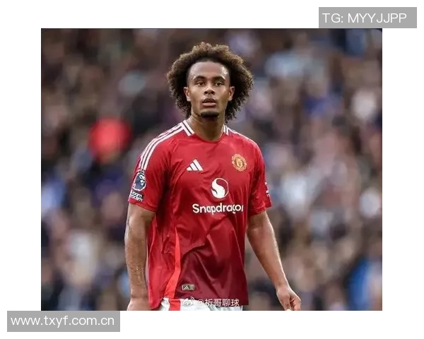 罗马与曼联洽谈齐尔克泽租借协议总价3500万欧元年薪400万